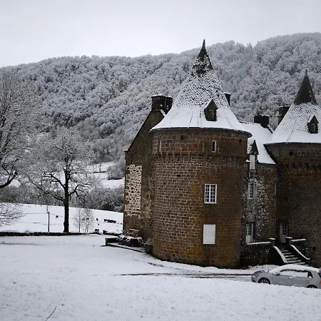 Chateau De Longevergne Anglards-de-Salers