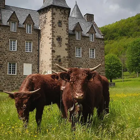 Chateau De Longevergne 3* Anglards-de-Salers