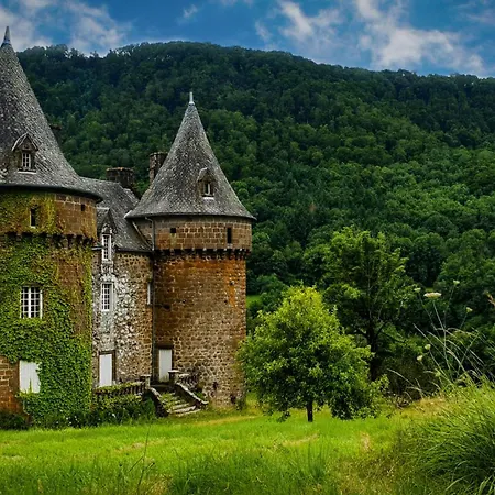 Chateau De Longevergne