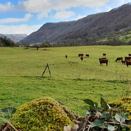 Chateau De Longevergne 3*